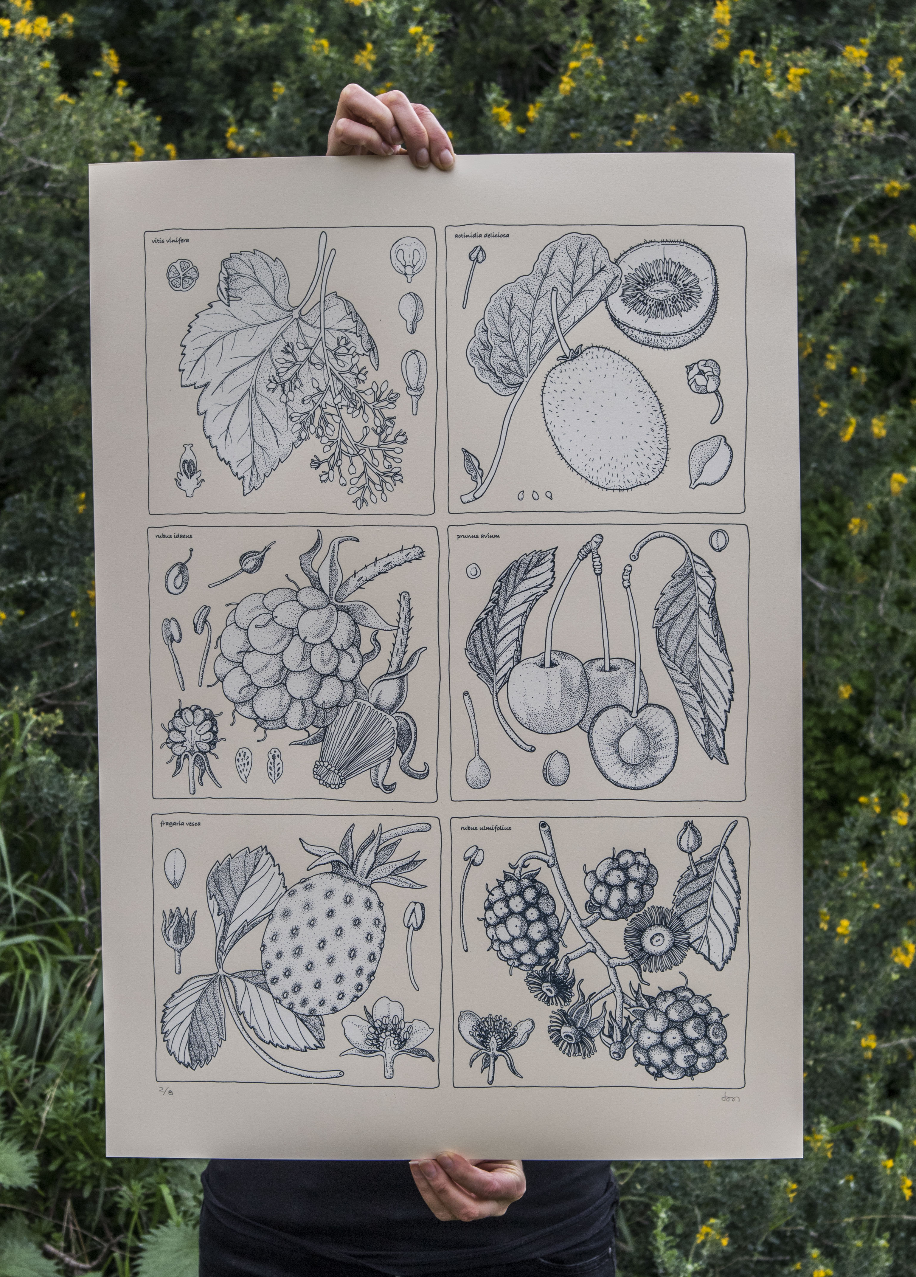 antioxidantes 1_ doaoa_ cero