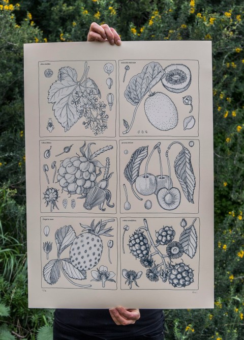 antioxidantes 1_ doaoa_ cero