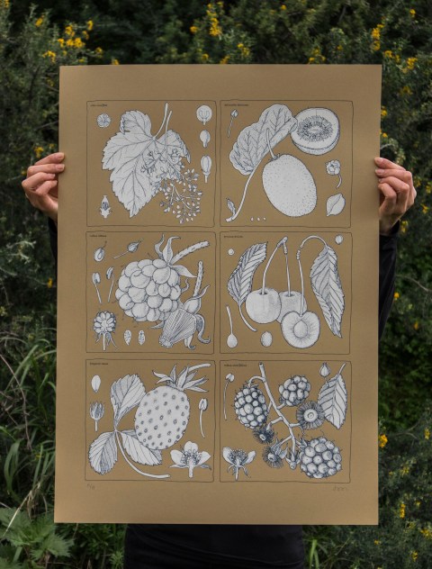 antioxidantes 1_doa oa_ d