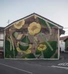 nenufar amarillo-doa oa