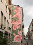 4_althaea officinalis_doa oa_torino&nbsp;2